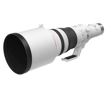 Lenses - RF800mm f/5.6L IS USM - Canon Philippines
